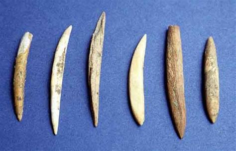 Bone fish hooks of the Mesolithic Period | Stone age, European ancestry ...