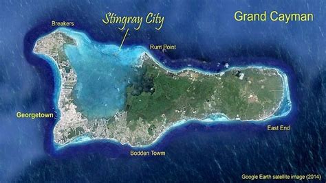 Stingray City Grand Cayman (2022) - Swimming With Stingrays