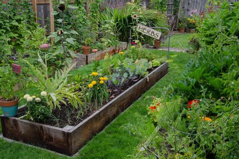 Backyard Farming Guide for Beginners | Hansen Lawn & Gardens Ltd.