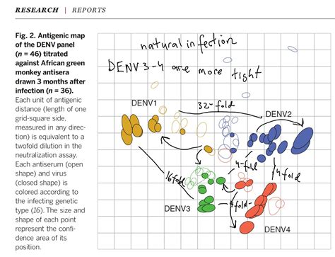 Antigenic cartography of dengue virus types reveal extensive ...