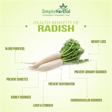 Radish Benefits