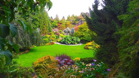 #705944 Queen Elizabeth Quarry Garden Vancouver, Parks - Mocah HD Wallpapers