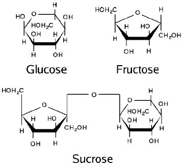 9 – Structure of ”free” saccharides | Download Scientific Diagram