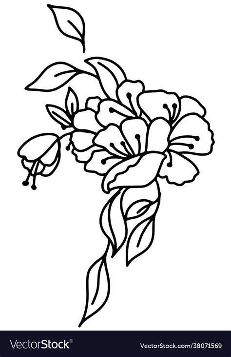 Rosehip flower bouquet outline black and white Vector Image