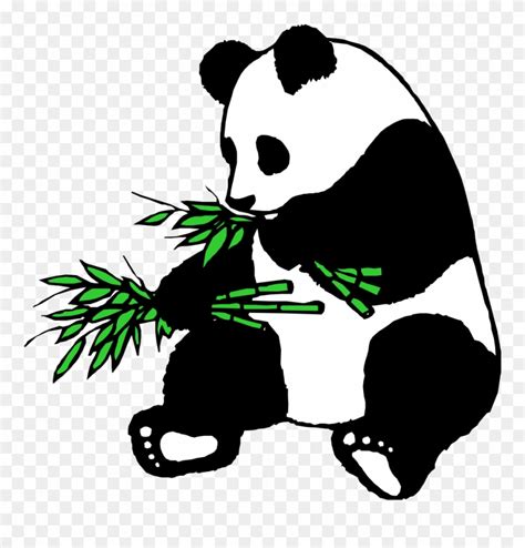 Panda - - Panda Eating Bamboo Clipart - Png Download (#753921) - PinClipart