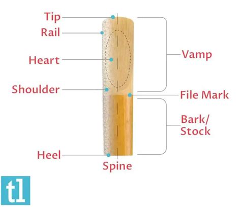 The Ultimate Clarinet Reed Guide (2024) | Ted's List