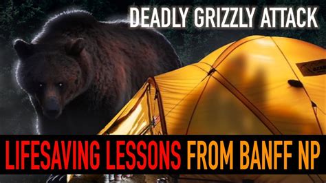 Strange fatal grizzly attack Banff National Park | Life-saving lessons #wildspaces #banff # ...