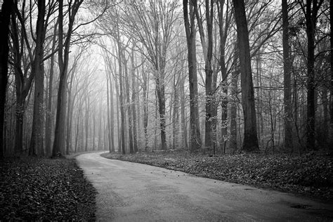 Negro And Wife On Forest Pictures