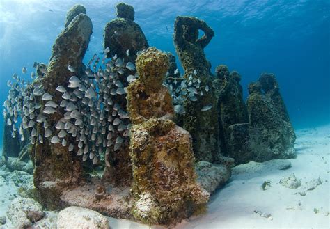 Where Is The First Underwater Art Museum In The US? - GeekExtreme