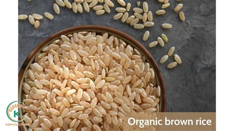 Which organic rice brand should you know