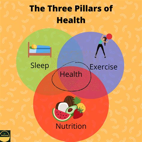 3 pillars of health | Health, Sleep exercise, Health and nutrition