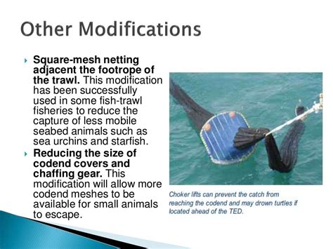 Bycatch Reduction Devices