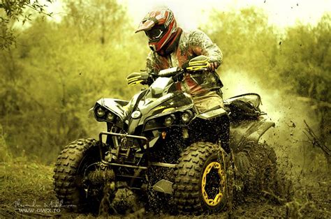 Pin by Rachael Noe on Fox racing | Quad bike, Atv, Outdoors adventure