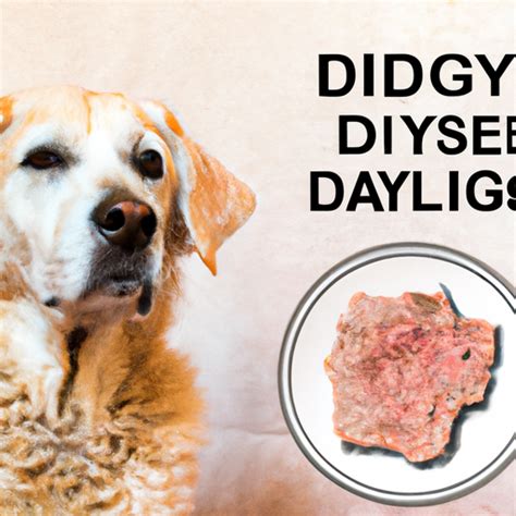 What Causes Dry Skin on Dogs? - One Top Dog