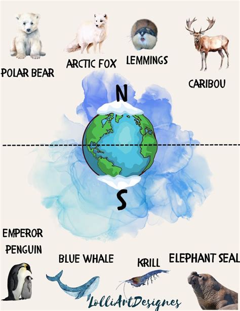 Polar regions of the Antarctica, the North Pole and the South Pole ...