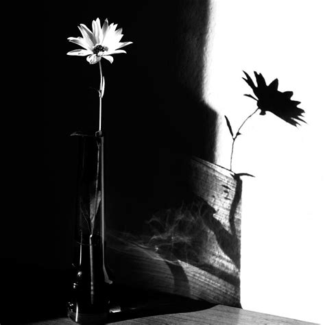 Light And Shadow Photograph by Susanne Wolf - Fine Art America