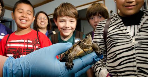 Zoo invites community to help shape new conservation education center ...