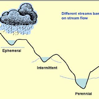 Gaining (effluent) and losing (influent streams) [from "Stream Corridor ...