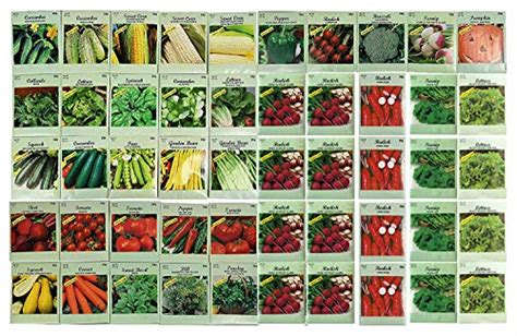 50 Packs Assorted Heirloom Vegetable Seeds 20+ Varieties All Seeds are ...