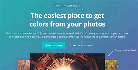 canva color palette generator