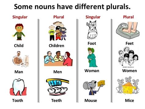 Singular Plural Nouns Rules