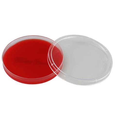 Tryptic Soy Agar Plate (Pack of 10) - AEMTEK Laboratories