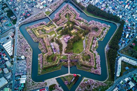 Capturing Hokkaido's Cherry Blossoms: Best Hanami Spots - Trip To Japan