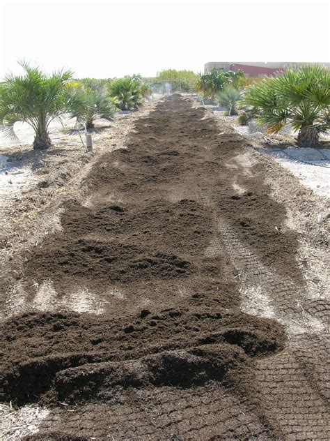 Xtremehorticulture of the Desert: Soil: They Don't Live in the Desert