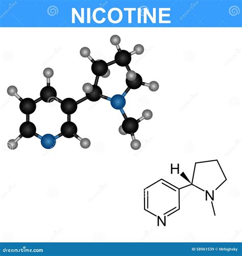 Nicotine Molecule Structure