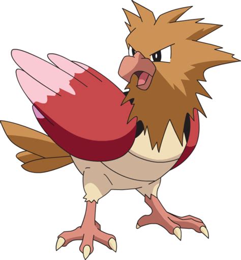 Imagen - Spearow (anime AG).png | WikiDex | FANDOM powered by Wikia