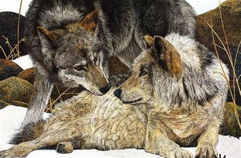 Wolf mates forever | Wildlife art, Animals, Beautiful wolves