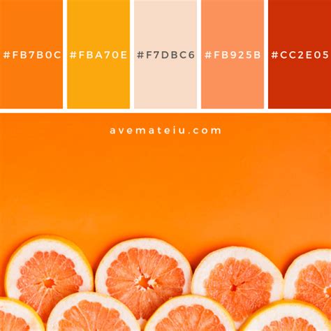 Grapefruit background with copyspace Color Palette #252 | Ave Mateiu