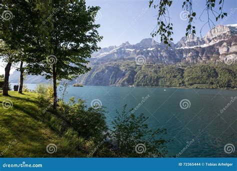 Walensee lake switzerland stock photo. Image of highlands - 72365444