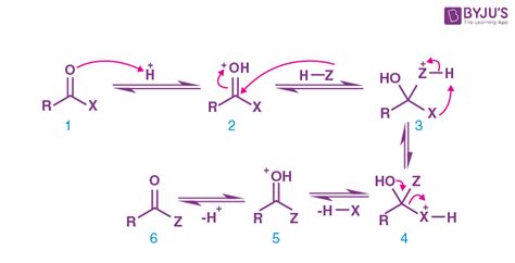 Nucleophilic Acyl Substitution: Introduction, Types, Reactivity Trends and Examples of ...