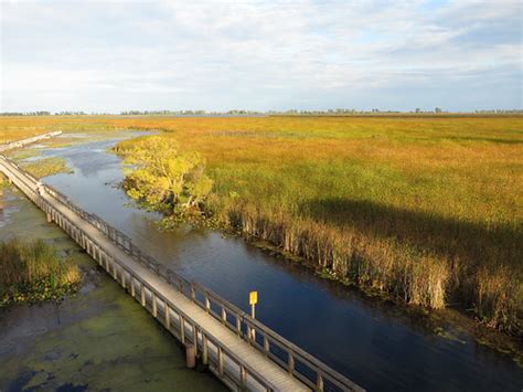 Marsh Boardwalk, Point Pelee National Park, Leamington, On… | Flickr