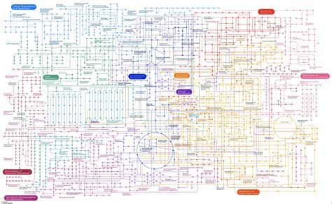 Biochemistry Pathways Poster