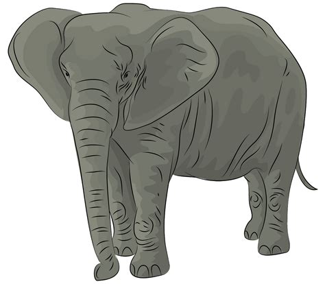 Free Elephant Clip Art Clipart Image 1 2 Cliparting C - vrogue.co