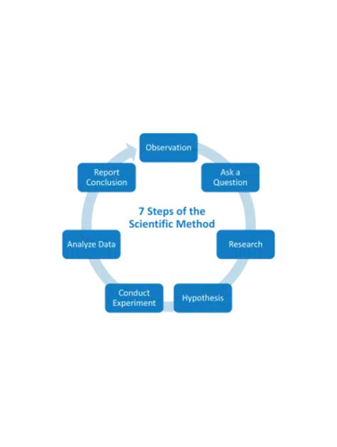 7 Steps of scientific method with explanation poster. Super ...