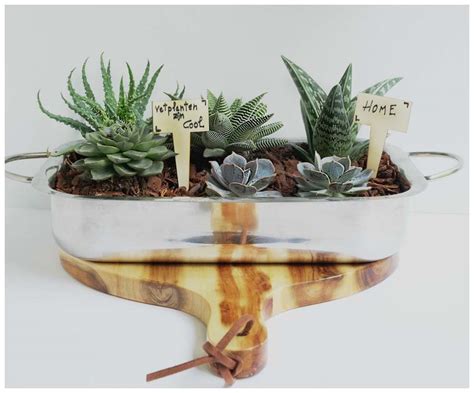 28 Creative Indoor Succulent Planter Ideas to Brighten Your Space