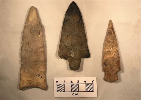 Prehistoric Stone Tools - Silver River Museum