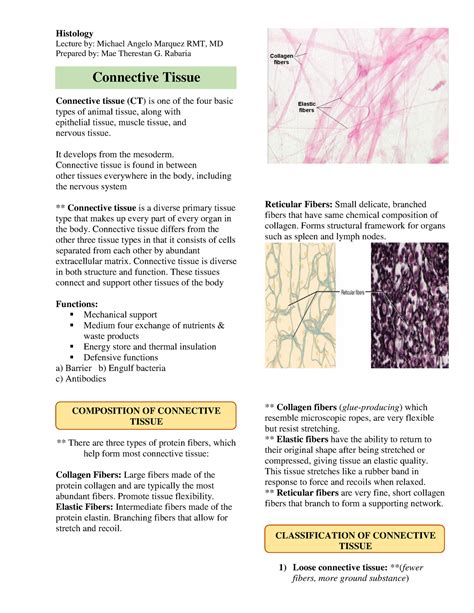 Human Histology - Connective Tissue - Histology Lecture by: Michael ...