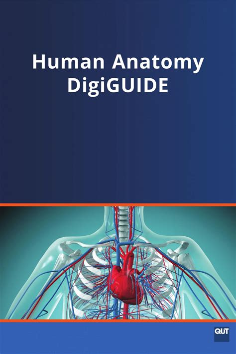 Human Anatomy DigiGUIDE (LQB187) – Simple Book Publishing