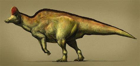 Corythosaurus by Paul Heaston | Natural history museum dinosaurs, Dinosaur history, Paleo art