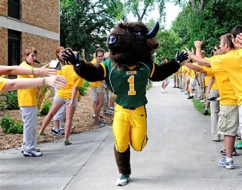 GO BISON | Ndsu bison football, Bison football, Ndsu bison