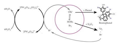 The proposed full reaction mechanism of the limiting reagent NH4Br... | Download Scientific Diagram