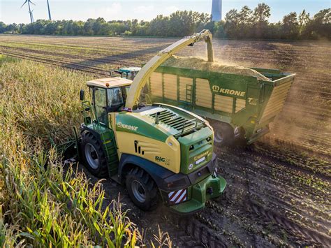 High dry matter maize silage - harvest do’s and don’ts — The Silage ...