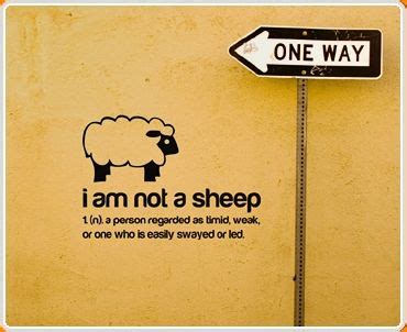 Sheep Quotes. QuotesGram | Sheep quote, Wall quotes, Wall sticker