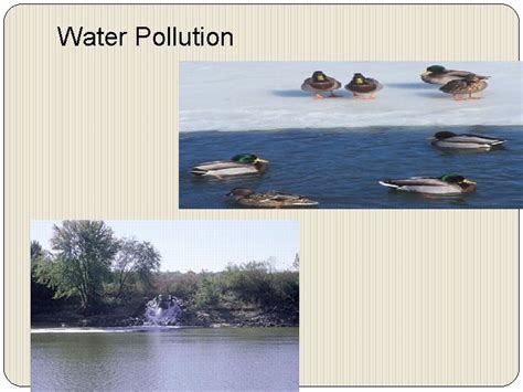 Water Pollution Examples of Polluted Waters WATER POLLUTION