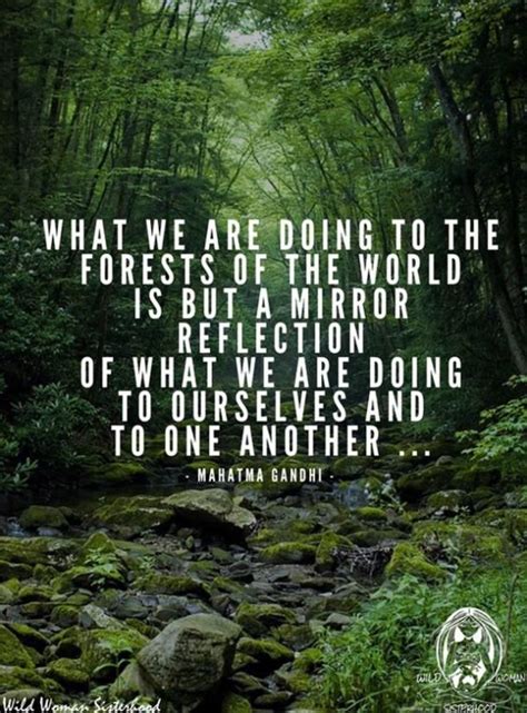 40 Best Environment Quotes To Inspire You To Help Save The Planet | Earth quotes, Environmental ...