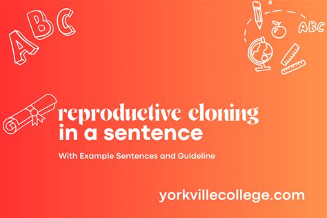 How To Use Reproductive Cloning In a Sentence? Easy Examples